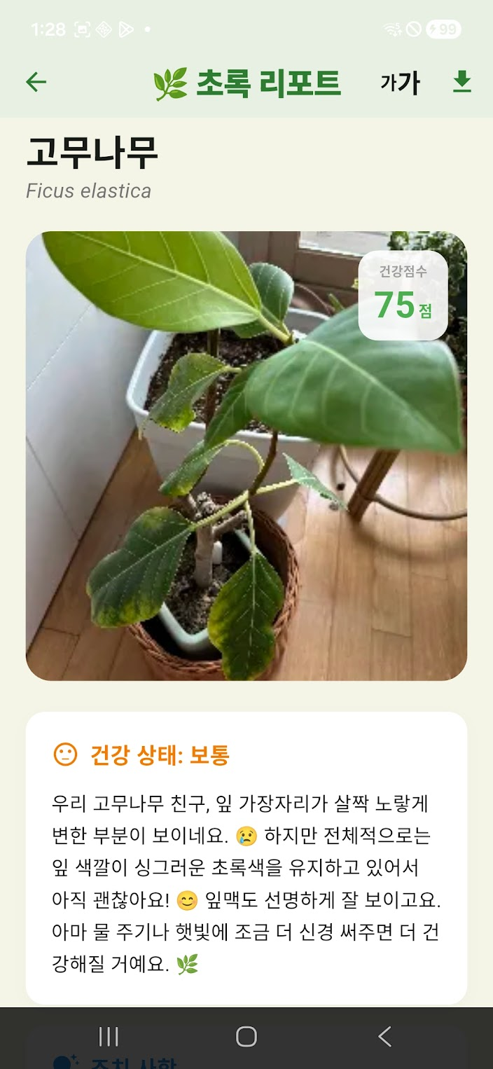 플랜트마루 분석 결과