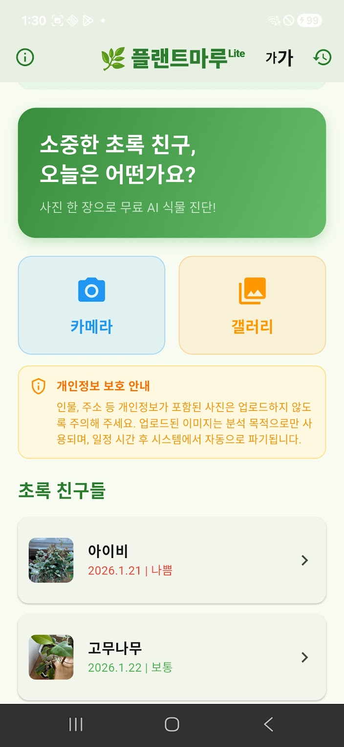 분석 히스토리